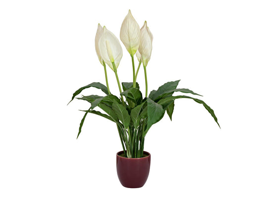 Europalms Einblatt, Kunstpflanze, 60cm – Ansicht 2