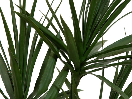 Europalms Dracena, Kunstpflanze, grün, 170cm – Ansicht 2