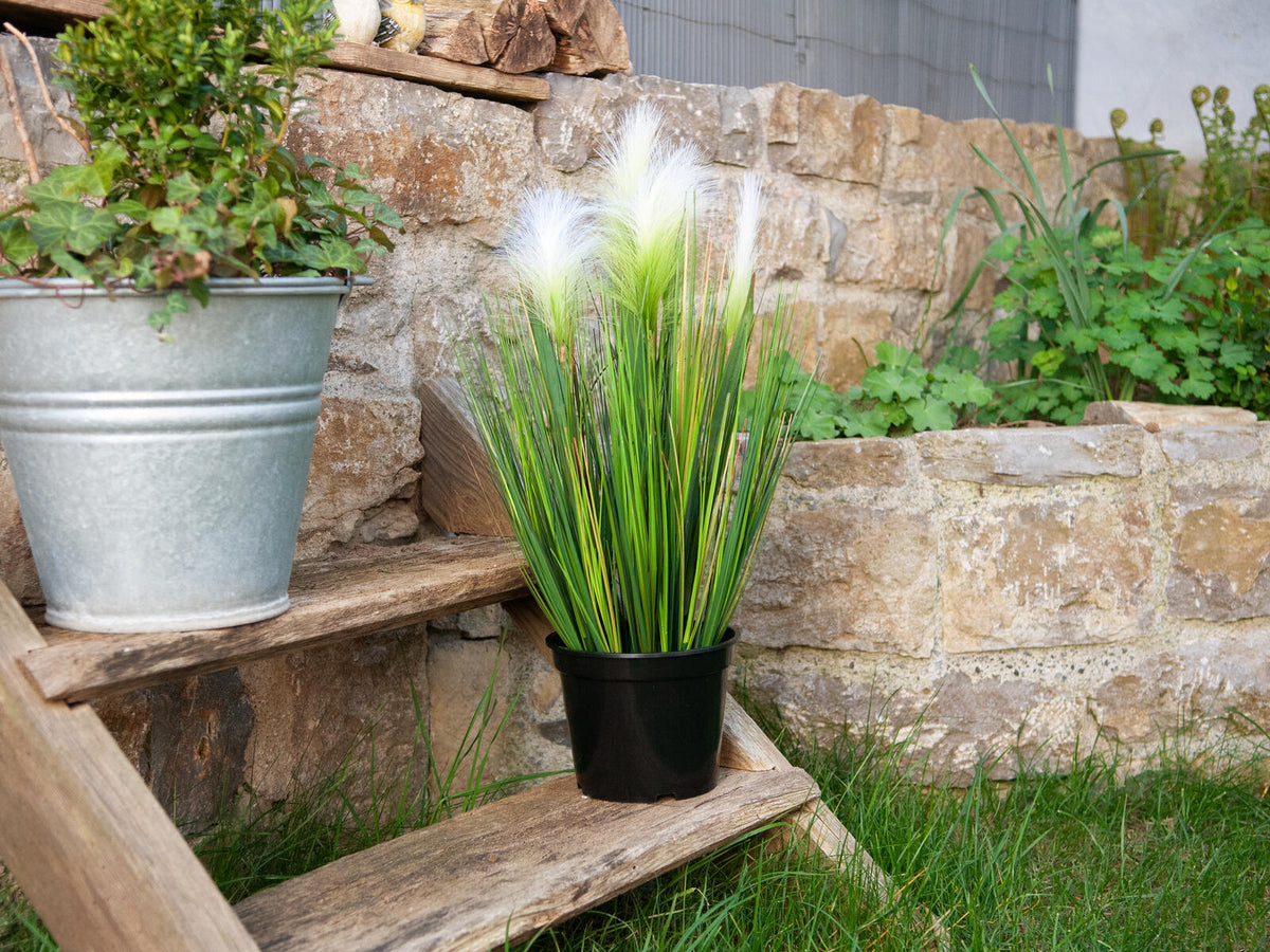 Europalms Federgras, künstlich, weiß, 60cm – Ansicht 10