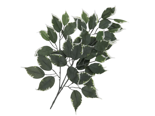 Europalms Ficuszweig, künstlich, 12x – Ansicht 2