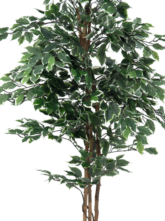 Europalms Silberficus-Benjamini, Kunstpflanze, 180cm – Ansicht 2
