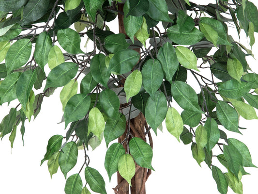 Europalms Ficus-Benjamini Multi-Stamm, Kunstpflanze, 180cm – Ansicht 2