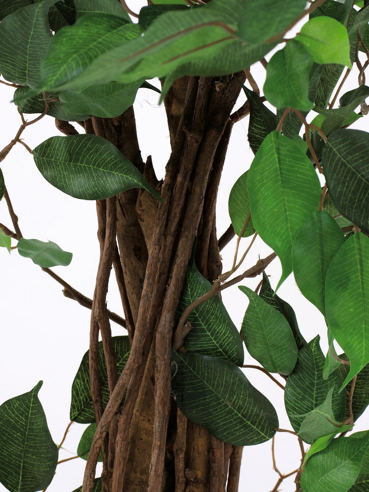 Europalms Ficus-Benjamini Multi-Stamm, Kunstpflanze, 210cm – Ansicht 3
