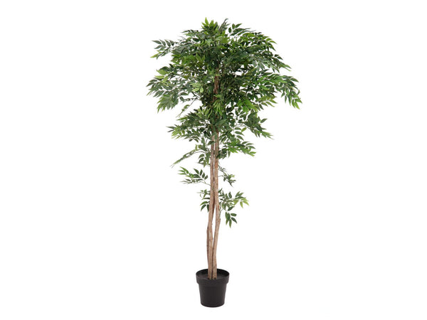 Europalms Ficus Longifolia, Kunstpflanze, 165cm