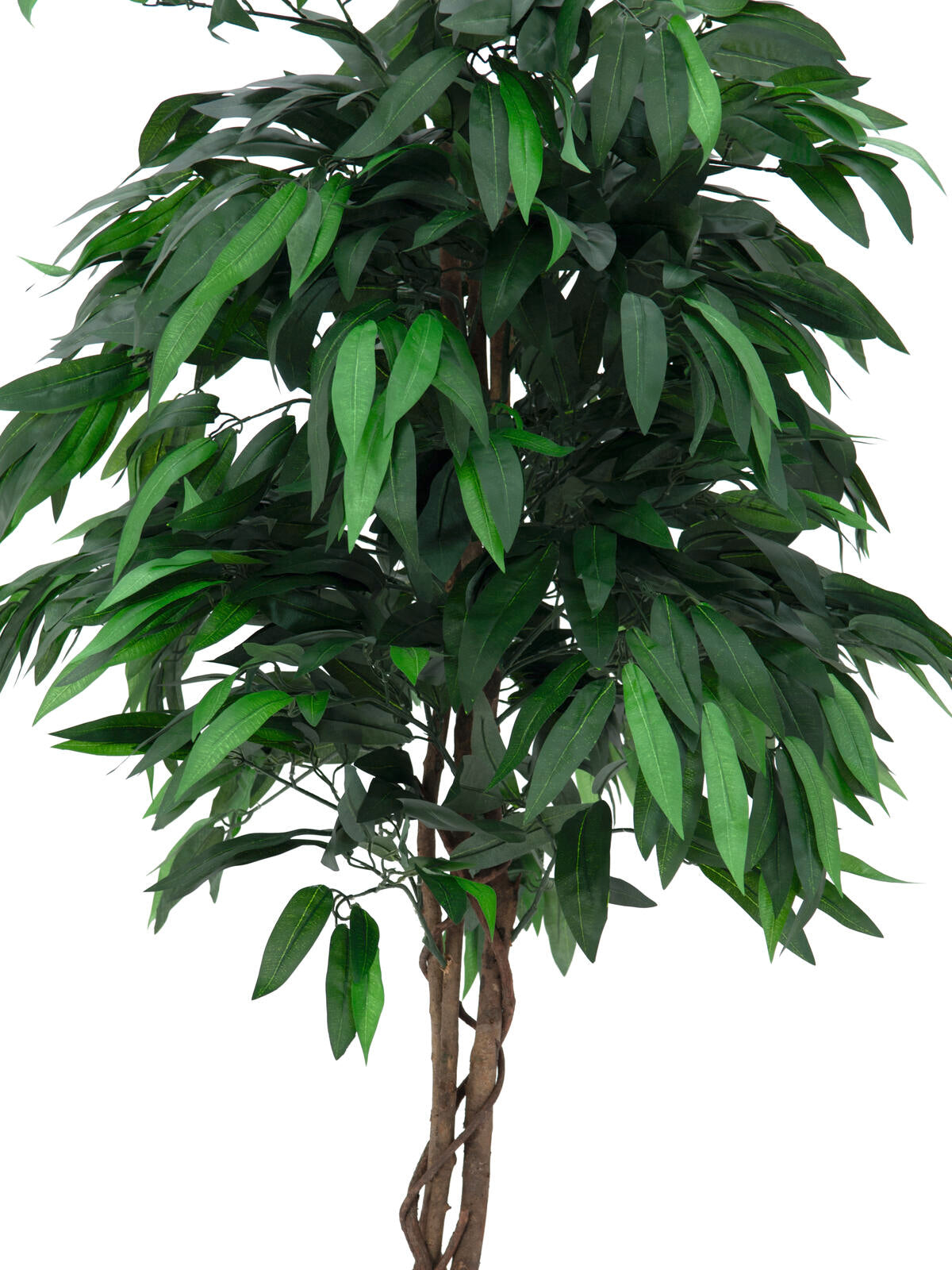 Europalms Dschungelbaum Mango, Kunstpflanze, 180cm – Ansicht 2