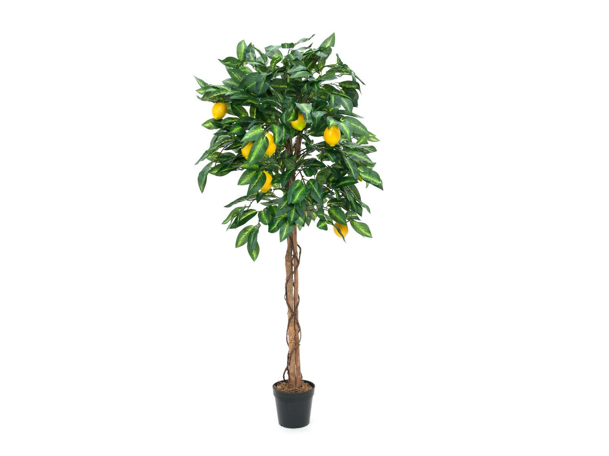 Europalms Zitronenbaum, Kunstpflanze, 150cm – Ansicht 4