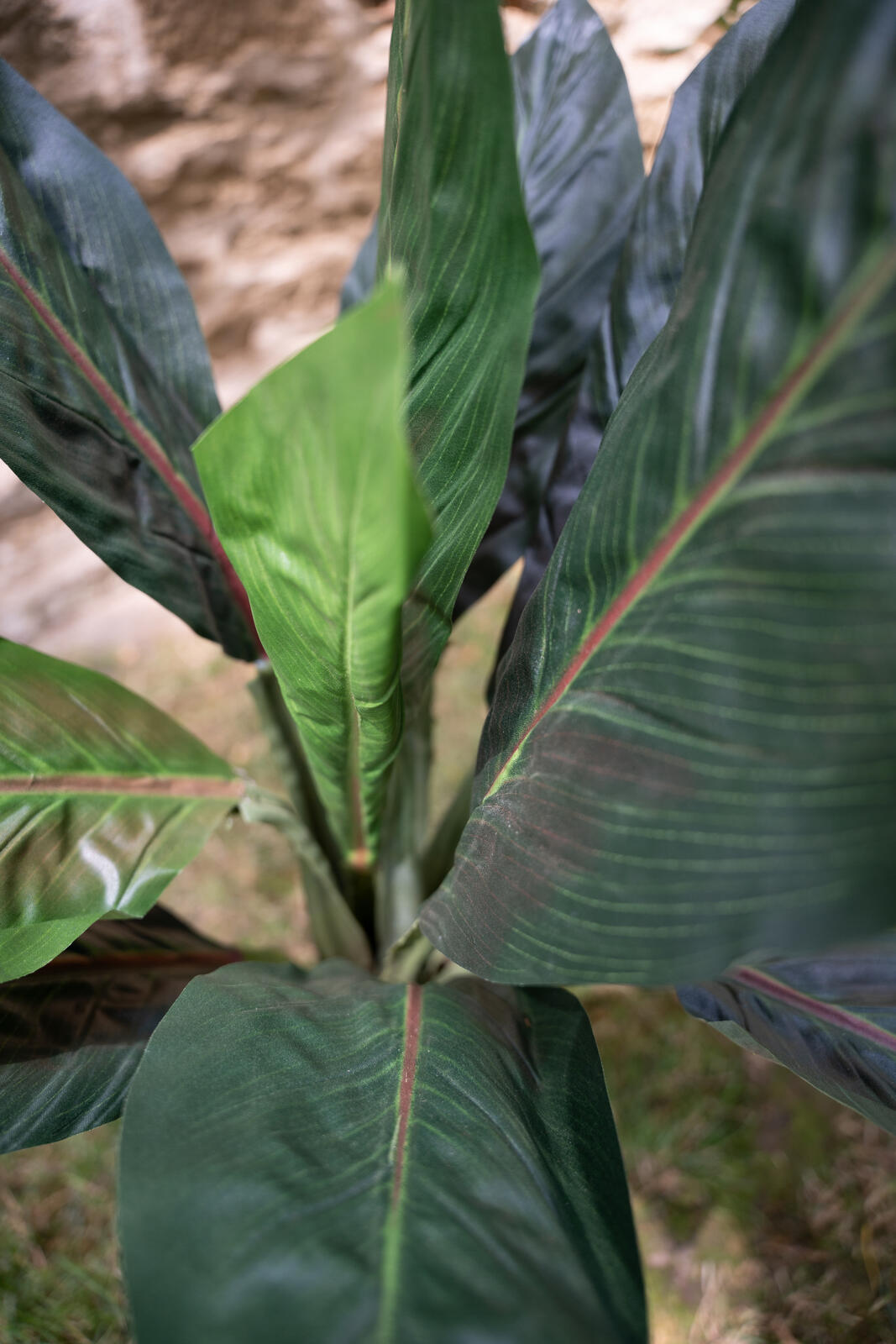 Europalms Mangoldbusch, künstlich, 45cm – Ansicht 7