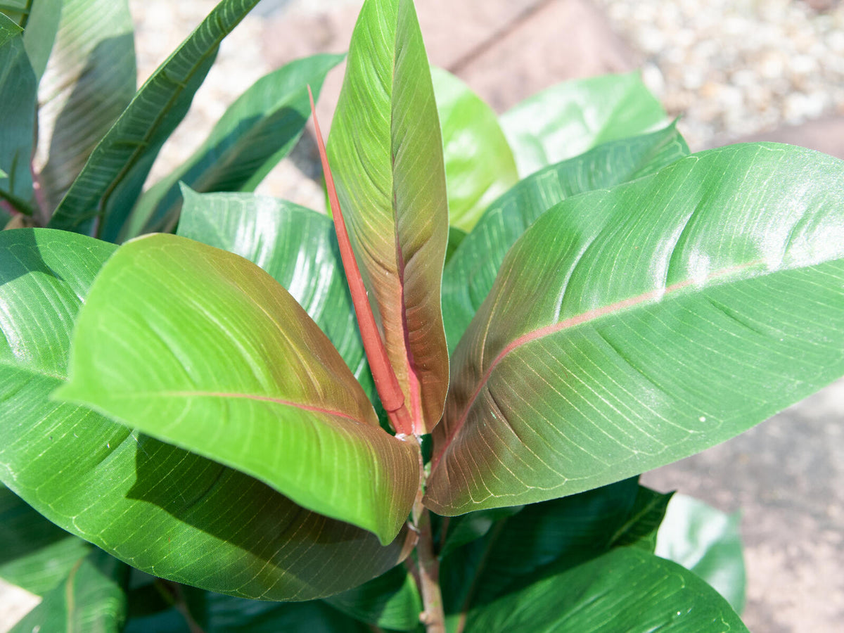 Europalms Gummibaum, Kunstpflanze, 100cm – Ansicht 10