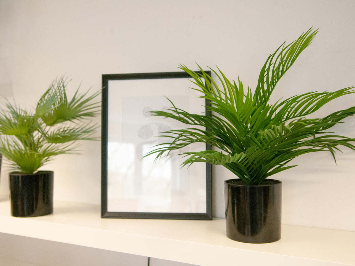 Europalms Goldfruchtpalme, Kunstpflanze, 46 cm – Ansicht 6