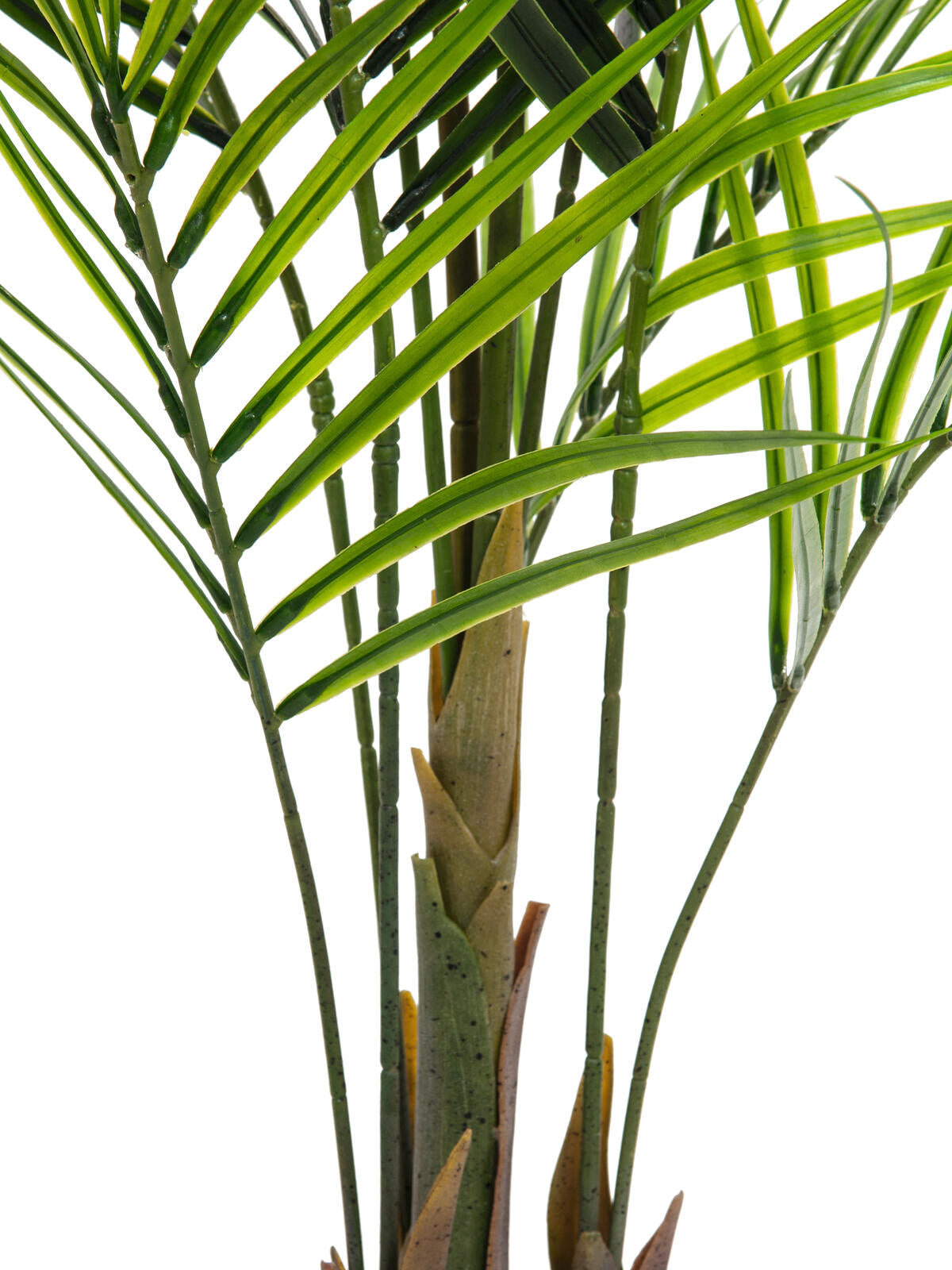 Europalms Großblatt-Areca, Kunstpflanze, 165cm – Ansicht 3