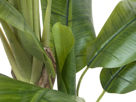 Europalms Bananenbaum, Kunstpflanze, 170cm – Ansicht 2