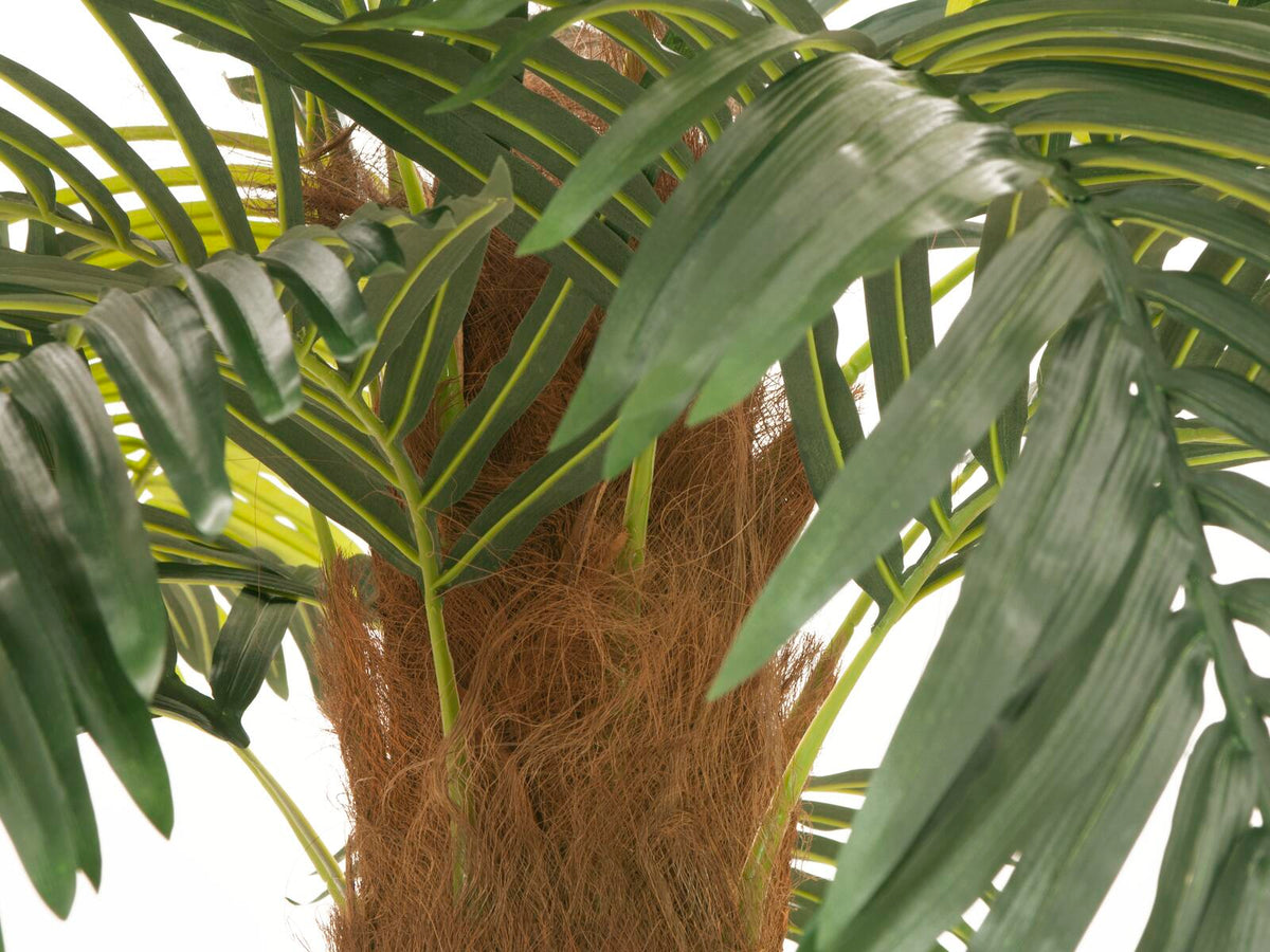 Europalms Phönix Palme deluxe, Kunstpflanze, 250cm – Ansicht 4