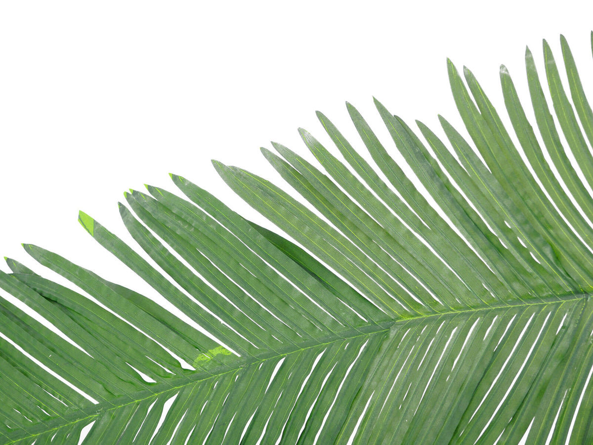 Europalms Kokos-Königspalmwedel, künstlich, 180cm – Ansicht 2
