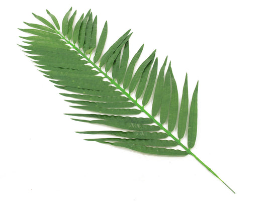 Europalms Kokos-Palmwedel, künstlich, 90cm 12x – Ansicht 2