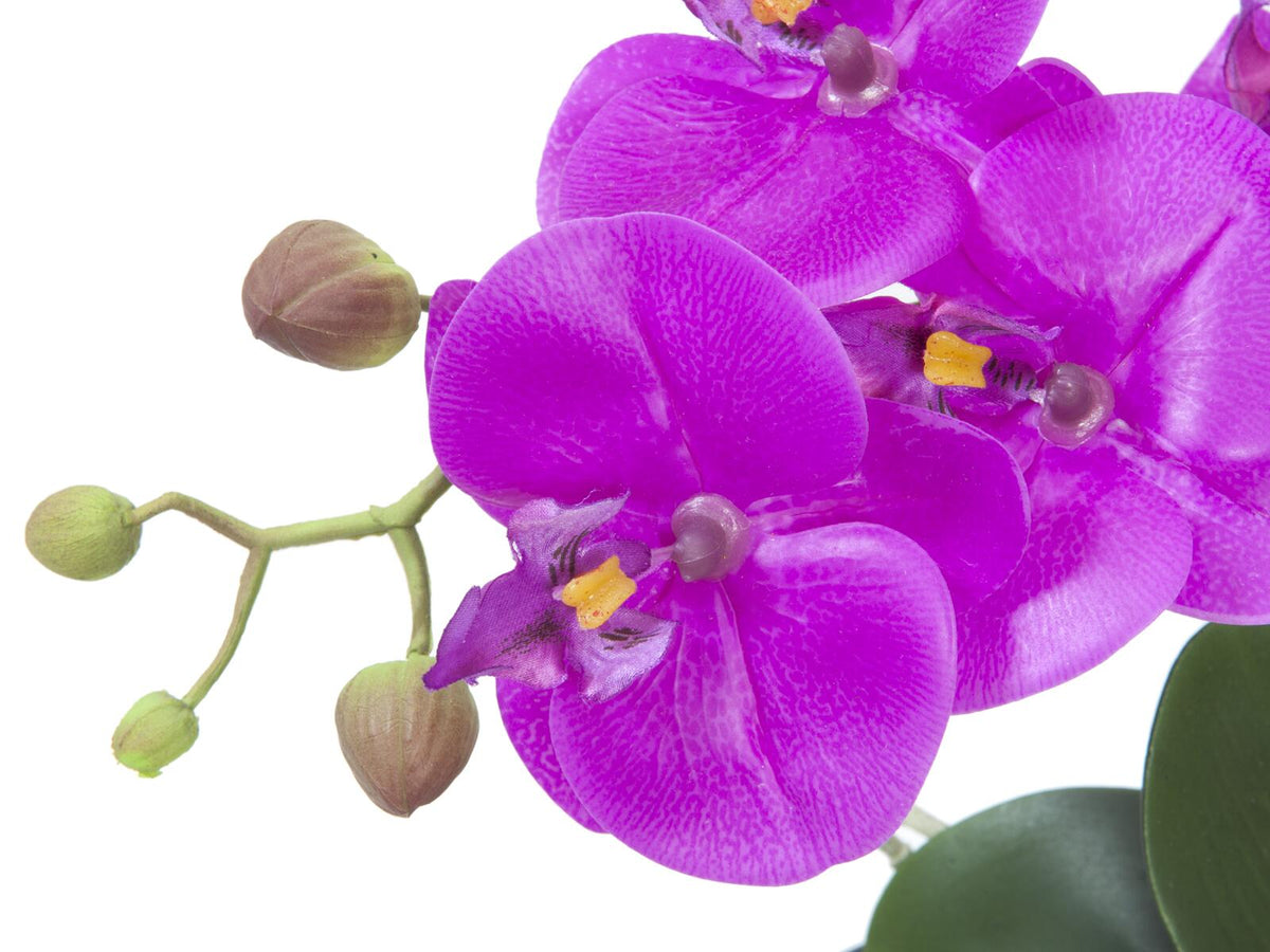 Europalms Orchideen-Arrangement 4, künstlich – Ansicht 2