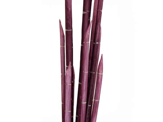 Europalms Magic Zwiebelrohr, künstlich, rosa, 134cm – Ansicht 2