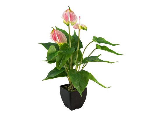 Europalms Anthurie, Kunstpflanze, weiß pink – Ansicht 2