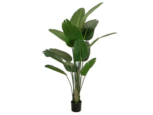 Europalms Strelitzie, Kunstpflanze, 170cm – Ansicht 2