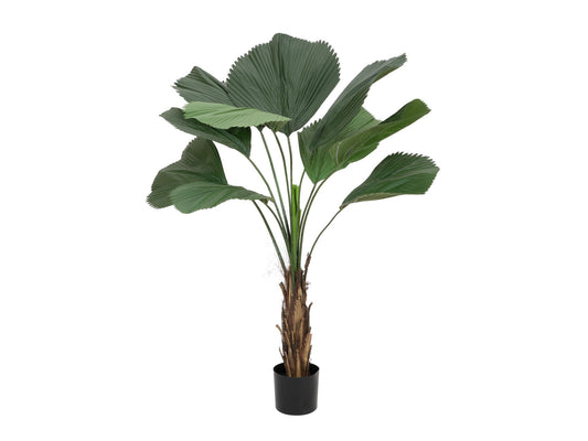 Firesilx Großblättrige Strahlenpalme, B1 schwer entflammbar, 140cm – Ansicht 2