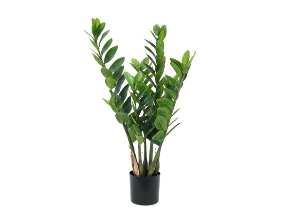Europalms Zamifolia, Kunstpflanze, 70cm