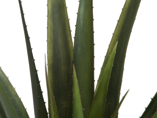 Europalms Aloe-Vera Pflanze, Kunstpflanze, 60cm – Ansicht 2