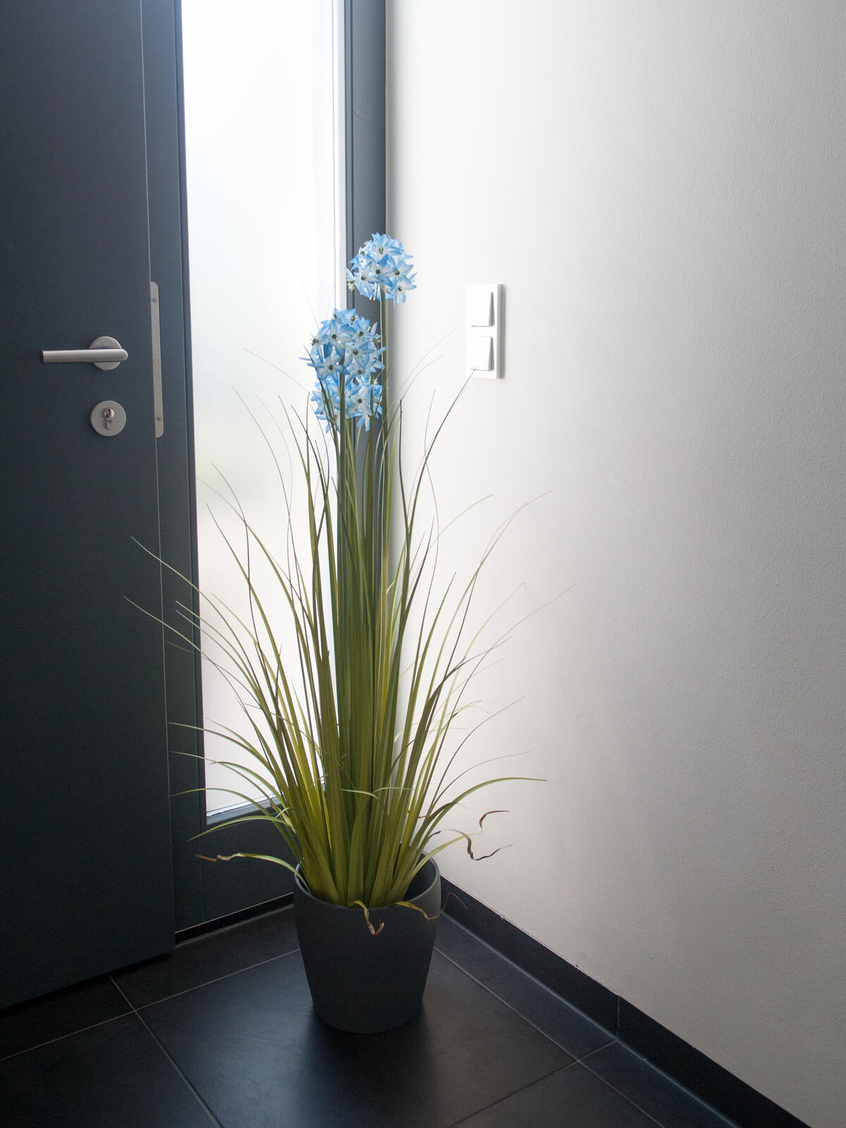 Europalms Alliumgras, Kunstpflanze, blau, 120 cm – Ansicht 7