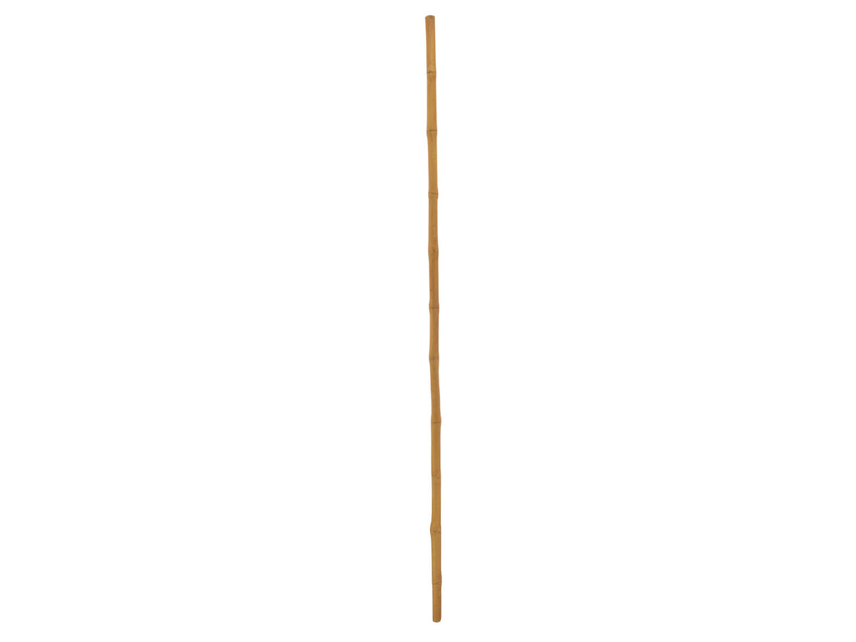 Europalms Bambusrohr, Ø=3cm, 200cm