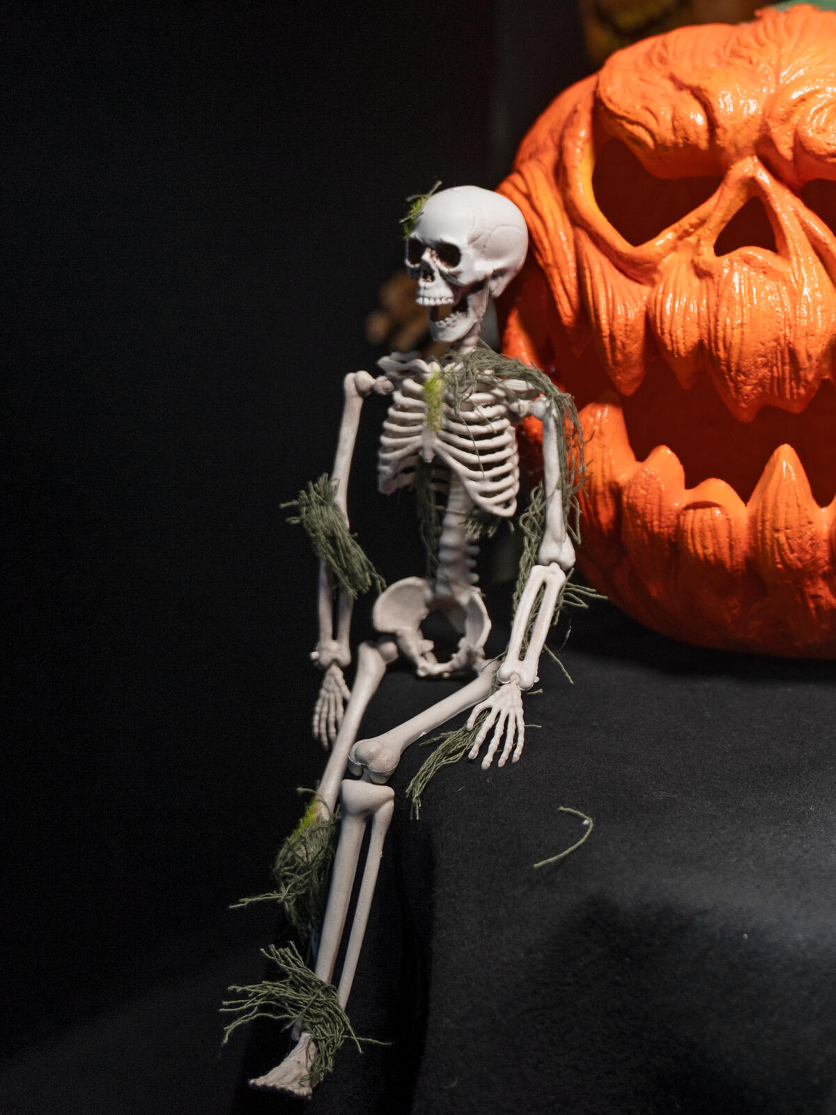 Europalms Halloween Skelett mit Moos, 40cm – Ansicht 7