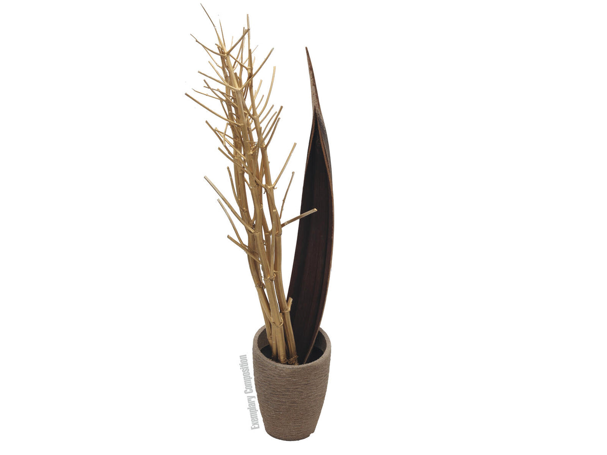 Europalms Fenchelbund, getrocknet, gold, 160cm – Ansicht 2