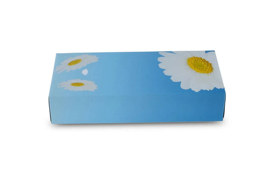 Funny Kosmetikboxen 2-lagig, Zellstoff, 40 Boxen, 100 Tücher / Box