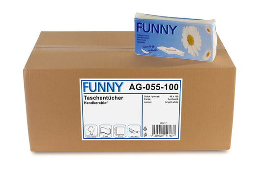 Funny Taschentücher, 3-lagig, Zellstoff hochweiß, lose, 40x100er Packs