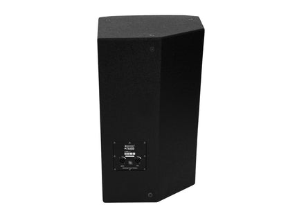 Omnitronic AZX-215 2-Wege Top 300W – Ansicht 3