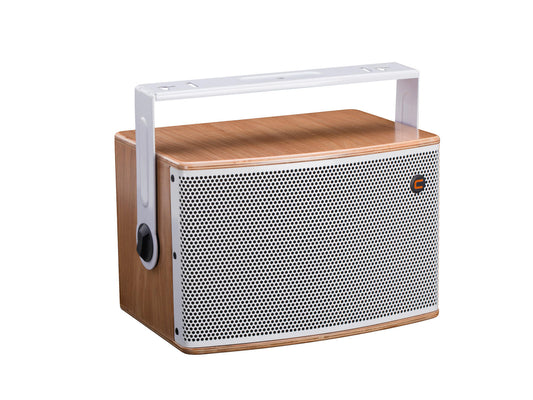 Celto iFIX10 FR 2-Wege Koaxial Lautsprecher natur/weiß