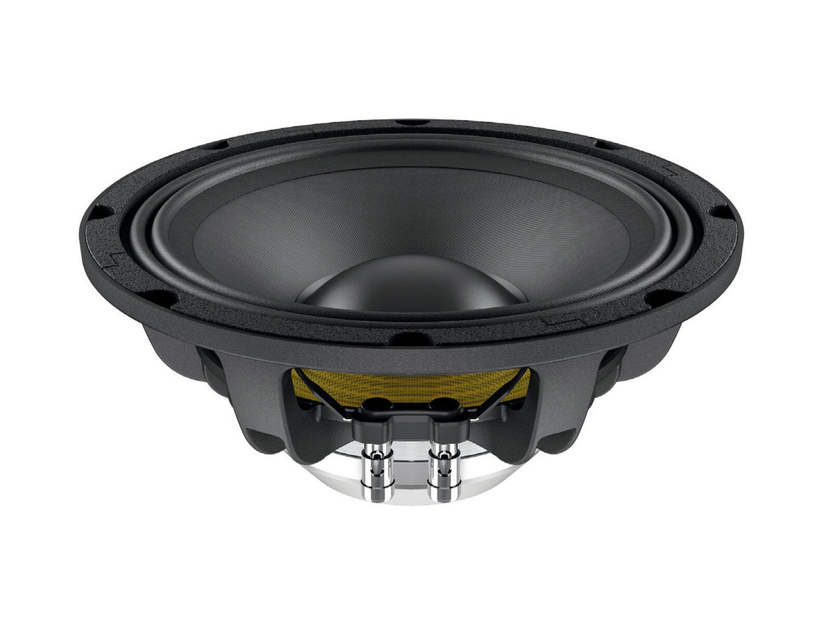 Lavoce WAN103.01 10" Woofer, Neodym, Alukorb