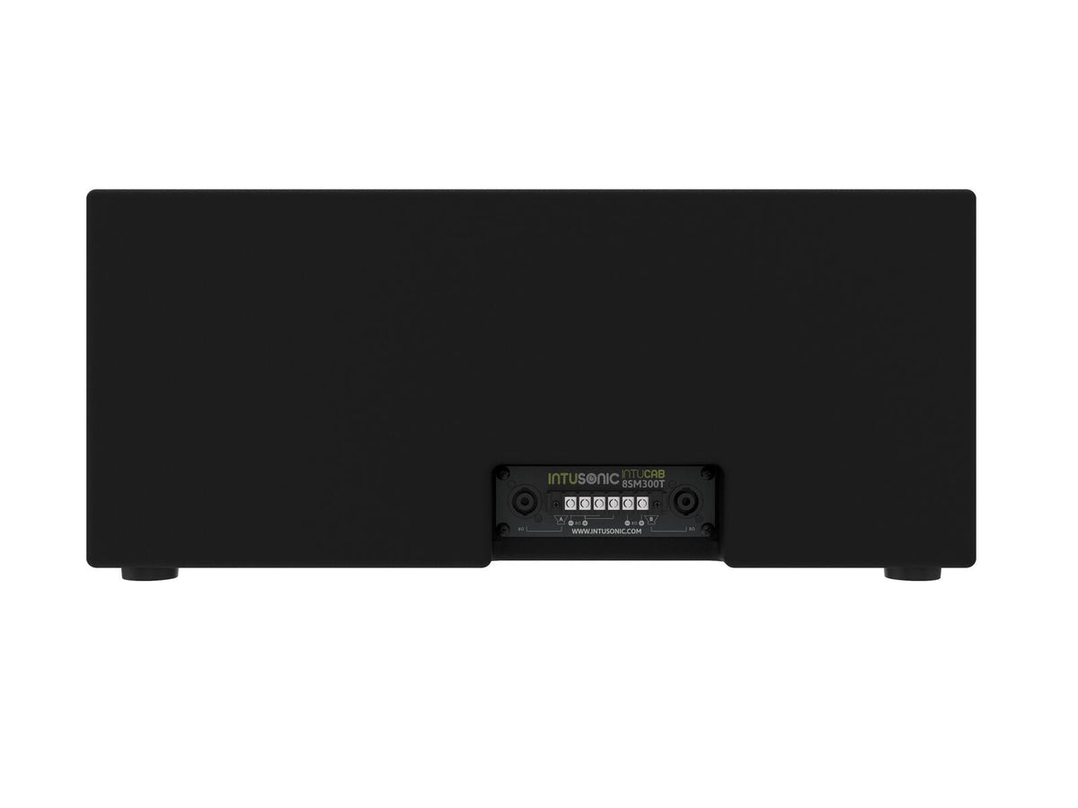Intusonic 8SM300T 2x8" Subwoofer schwarz – Ansicht 3
