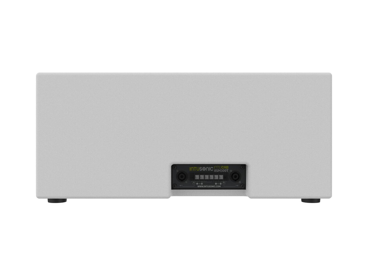Intusonic 8SM300T 2x8" Subwoofer weiß – Ansicht 3