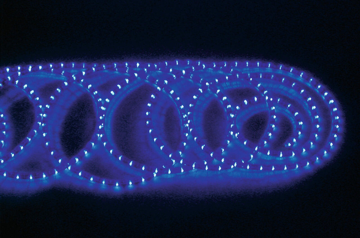 Eurolite RUBBERLIGHT RL1-230V blau 5m – Ansicht 9