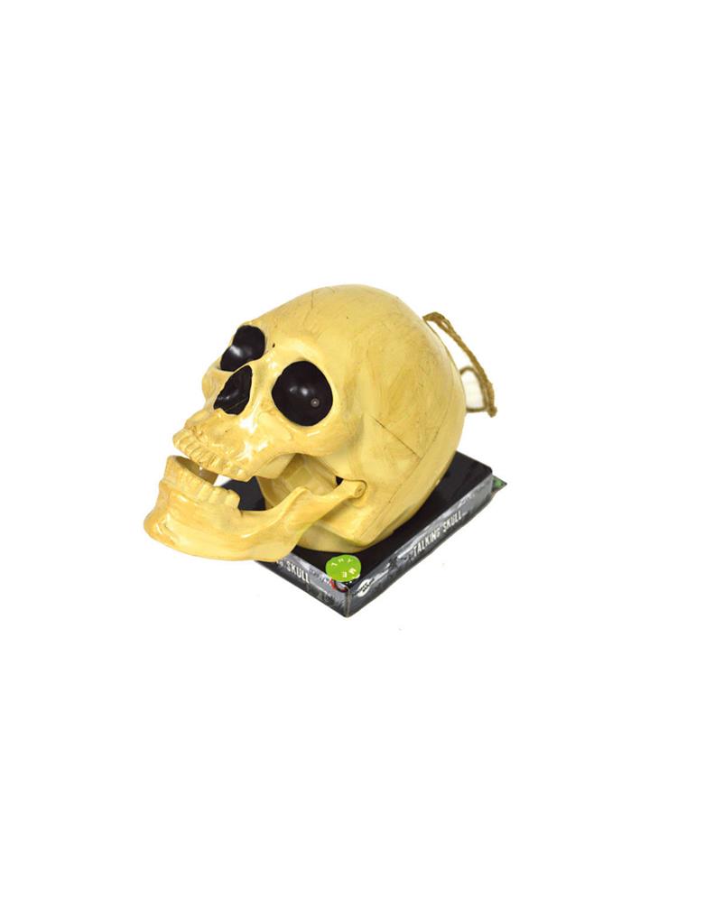 Singender Totenkopf – Ansicht 2