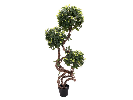 Europalms Ficus Multi Spiralstamm, Kunstpflanze, 160cm