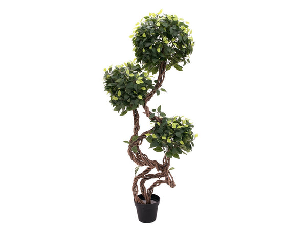 Europalms Ficus Multi Spiralstamm, Kunstpflanze, 160cm
