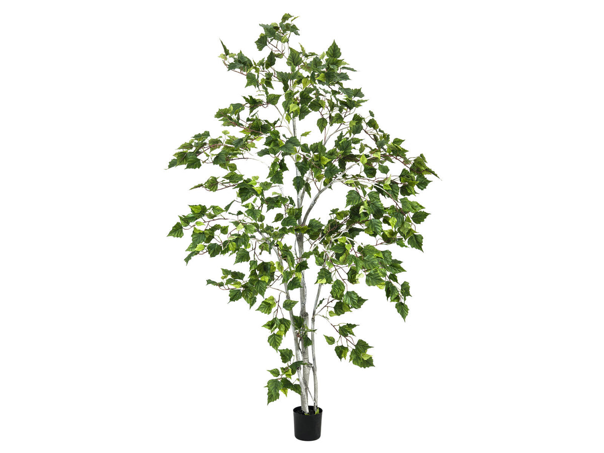 Europalms Birkenbaum, Kunstpflanze, 180cm