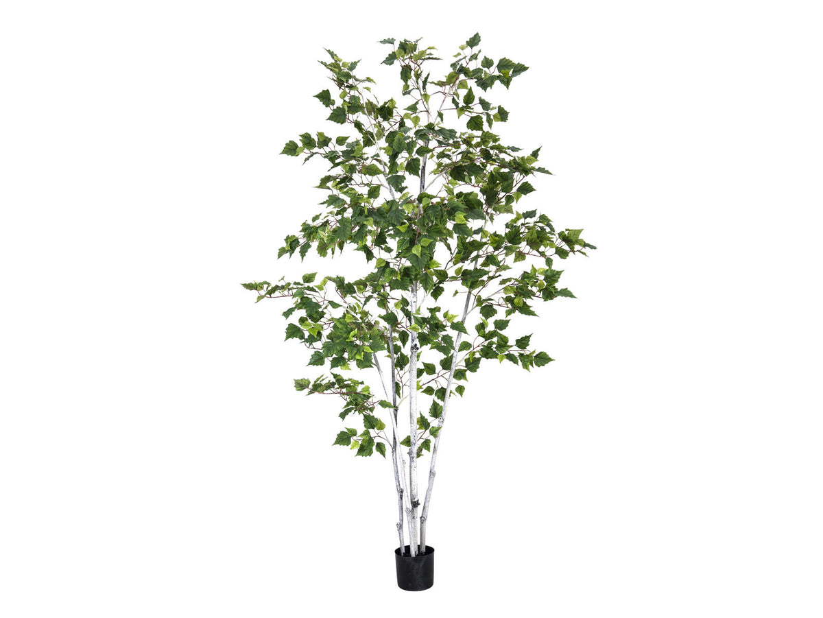 Europalms Birkenbaum, Kunstpflanze, 210cm