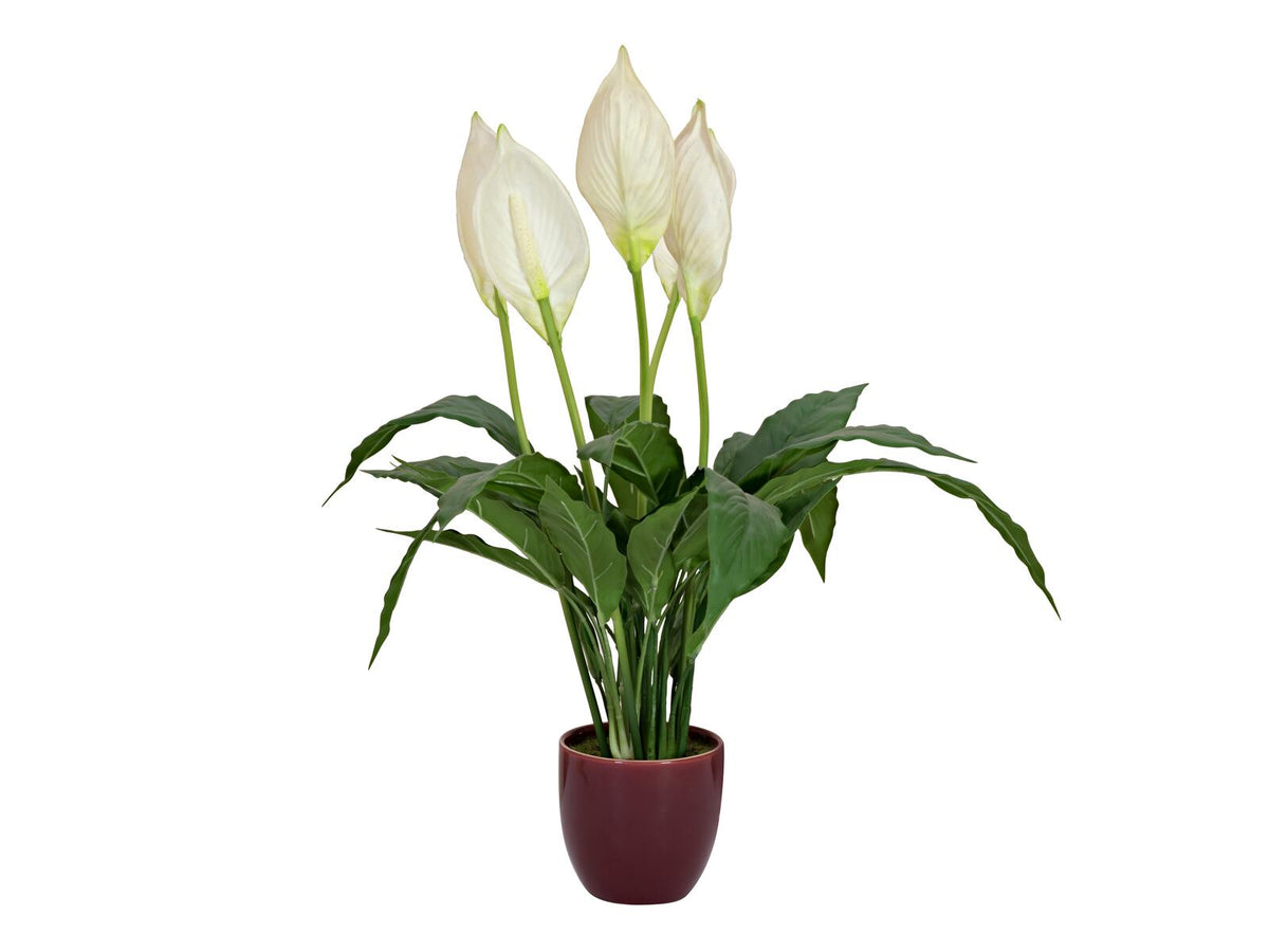 Europalms Einblatt, Kunstpflanze, 60cm – Ansicht 2