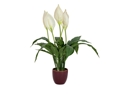Europalms Einblatt, Kunstpflanze, 60cm – Ansicht 2