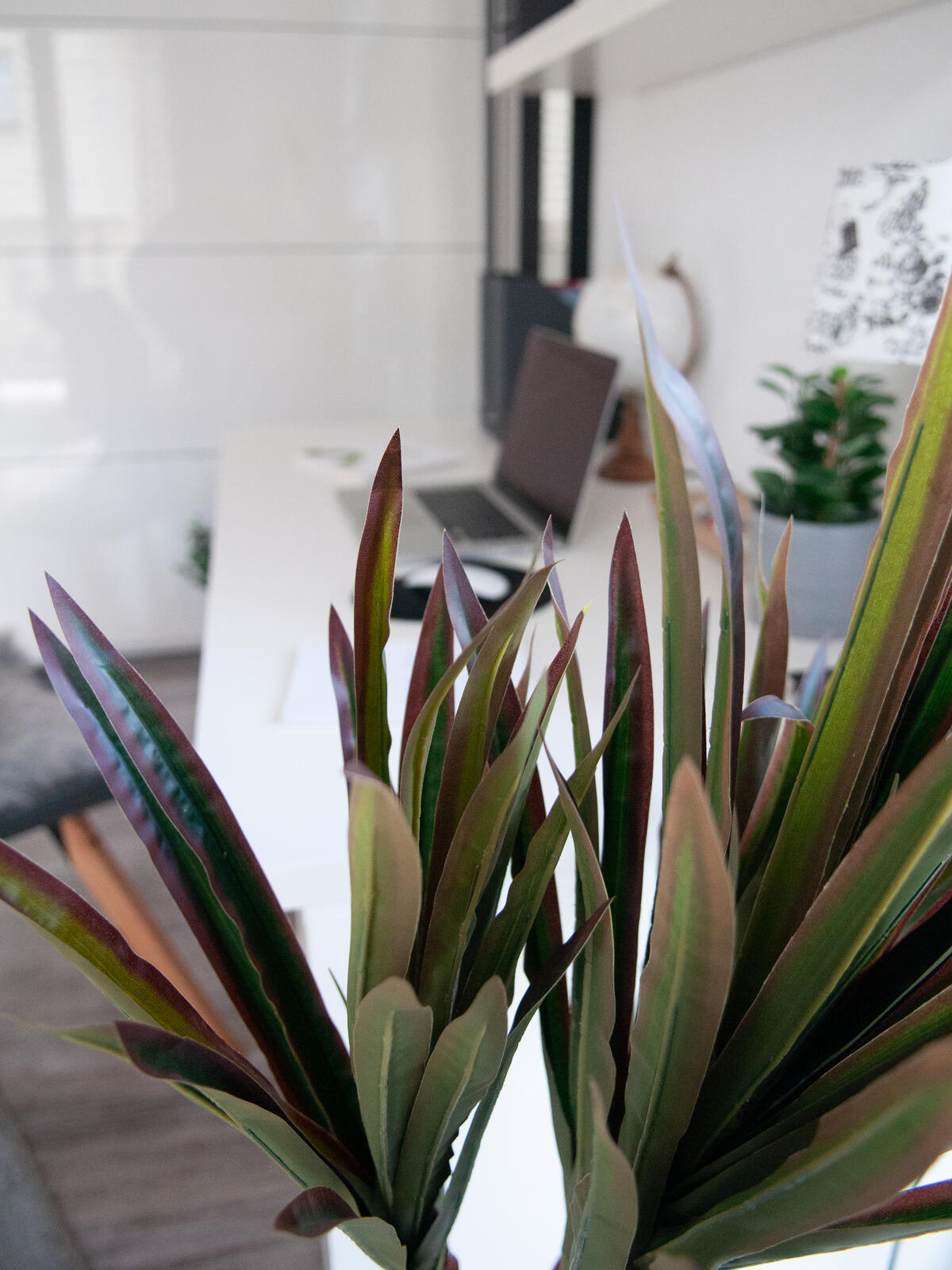 Europalms Dracena, künstlich, 120cm – Ansicht 5