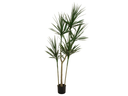 Europalms Dracena, Kunstpflanze, grün, 170cm