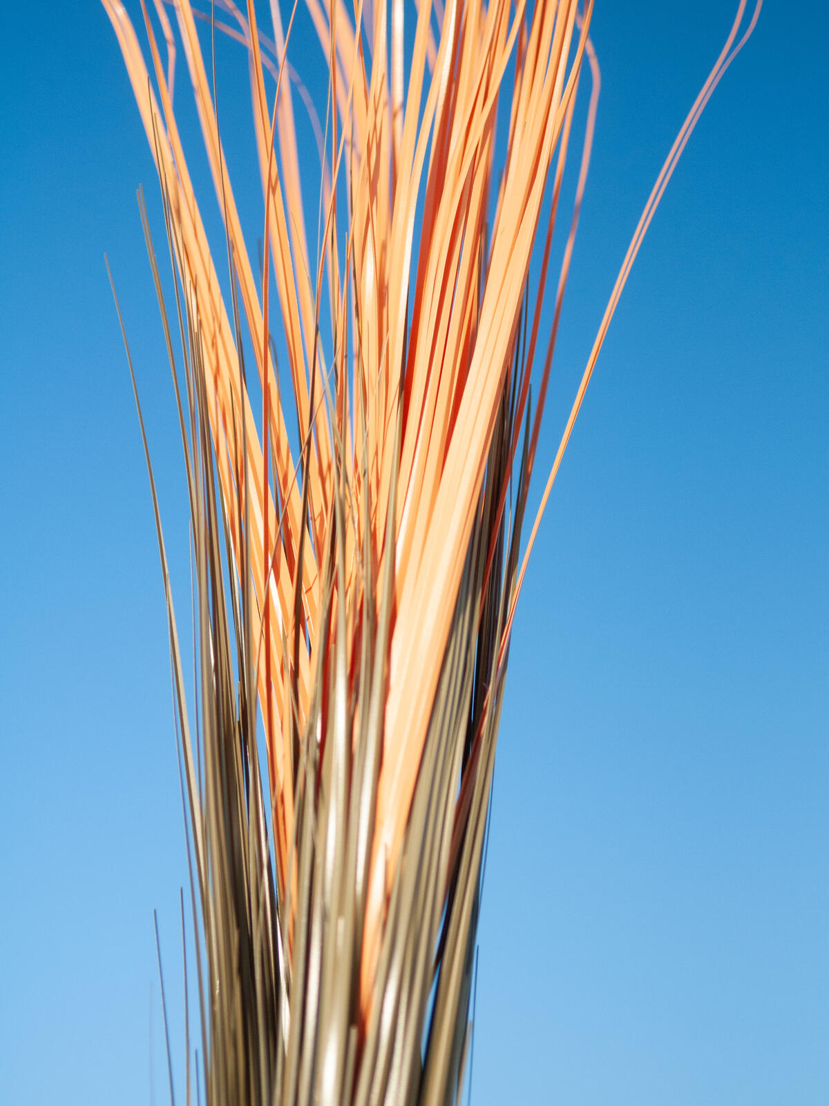 Europalms Schilfgras, künstlich, hellbraun, 127cm – Ansicht 7