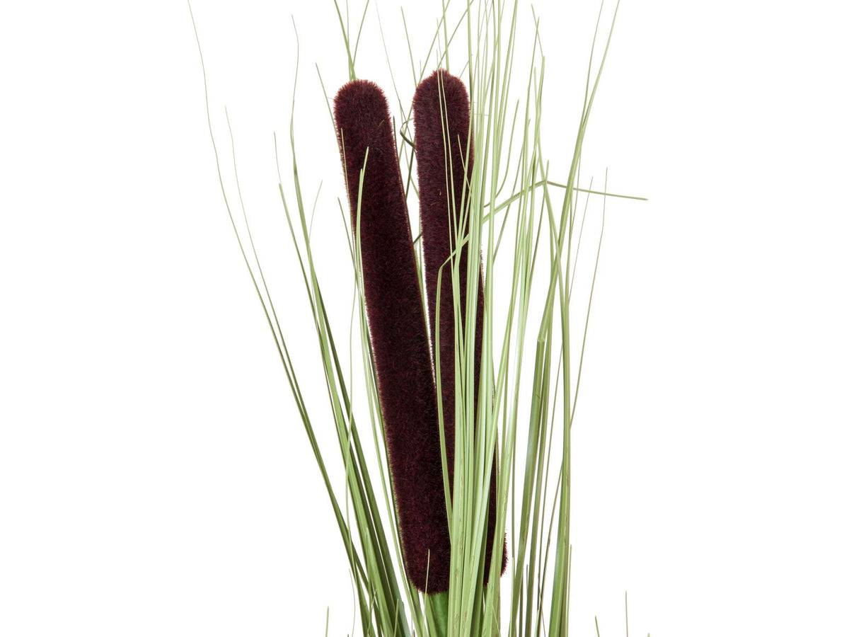 Europalms Schilfgras mit Kolben, künstlich, hellgrün, 152cm – Ansicht 2