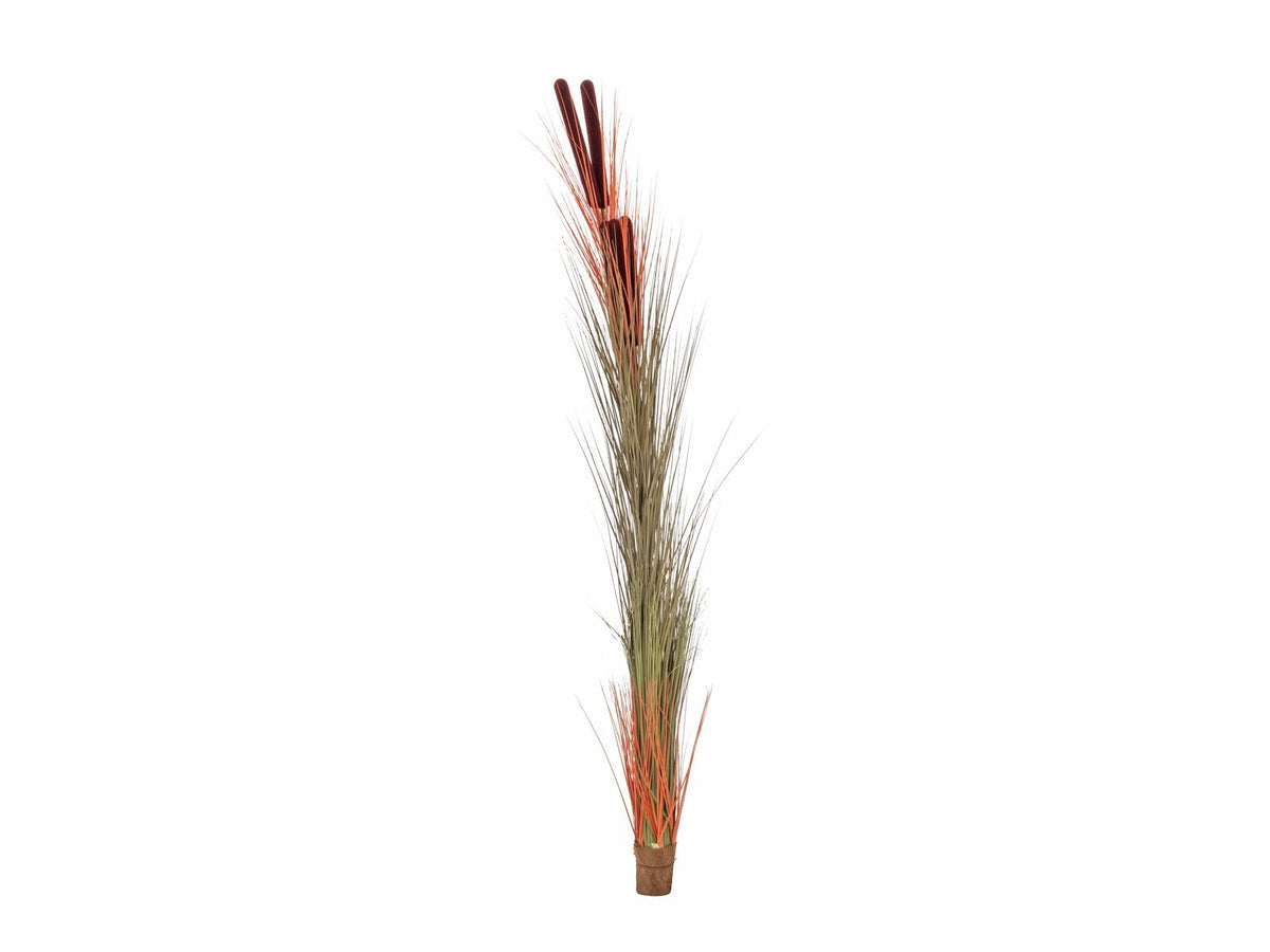 Europalms Schilfgras mit Kolben, künstlich, hellbraun, 152cm