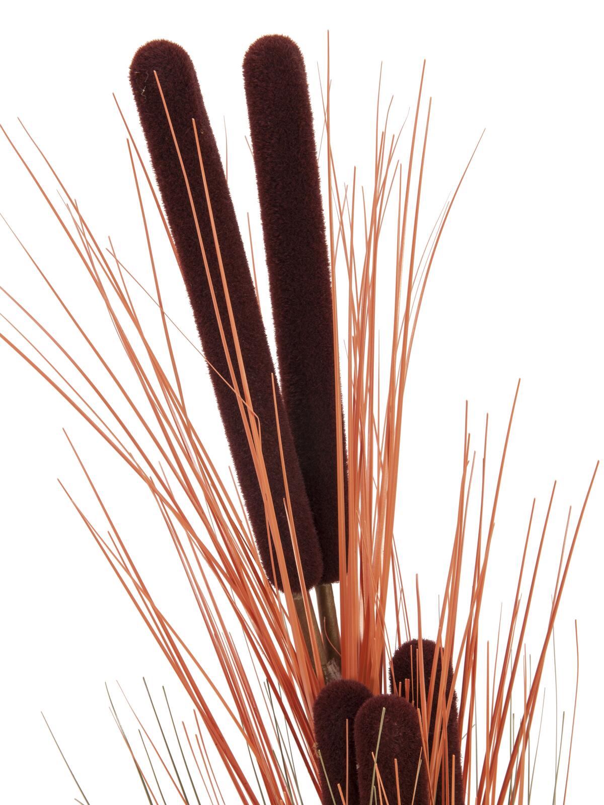 Europalms Schilfgras mit Kolben, künstlich, hellbraun, 152cm – Ansicht 2